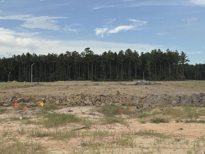 Site preparation for new homesites in Granger Pines, Conroe (Image 24).