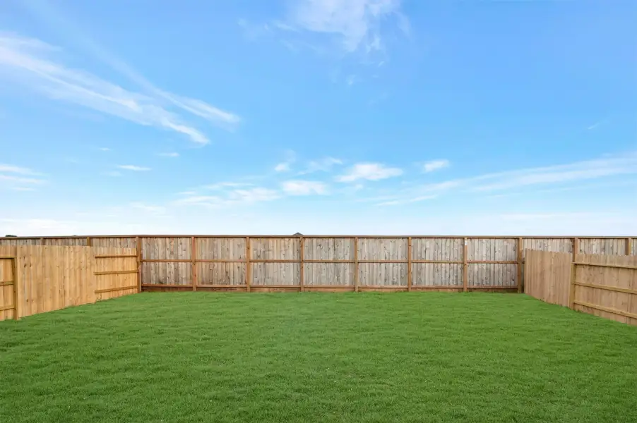 Backyard