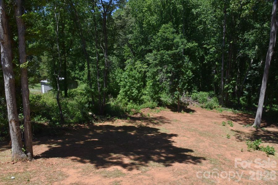 Natural landscape and outdoor views near  in Lincolnton (Image 37).
