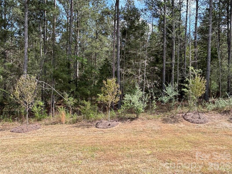 Natural landscape and outdoor views near Westport Freedom Series in York (Image 36).