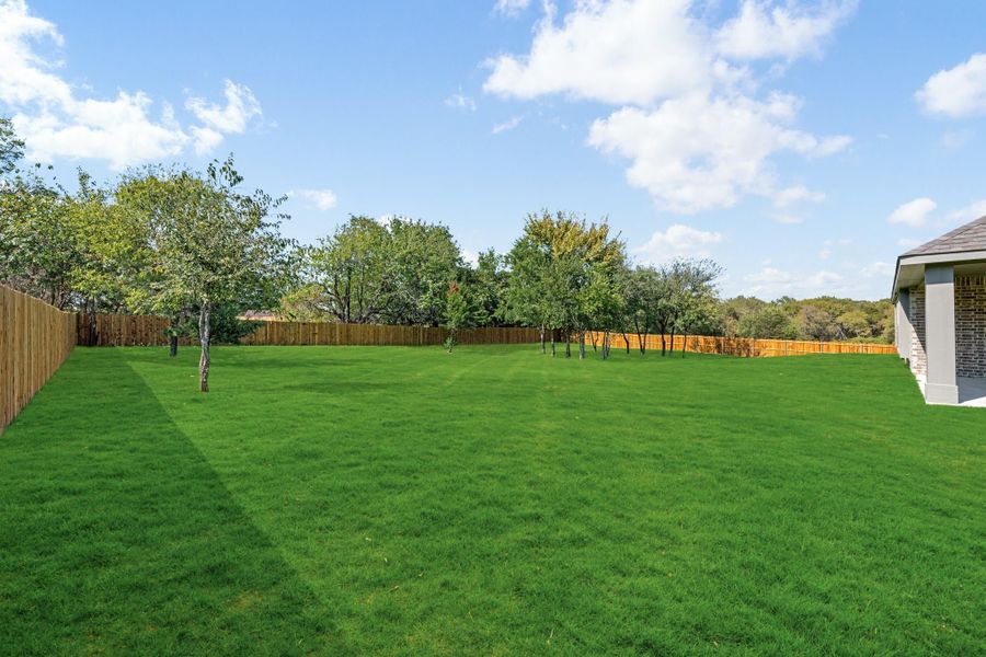 Large backyard with green lawn, wood privacy fence, and scattered trees along the perimeter