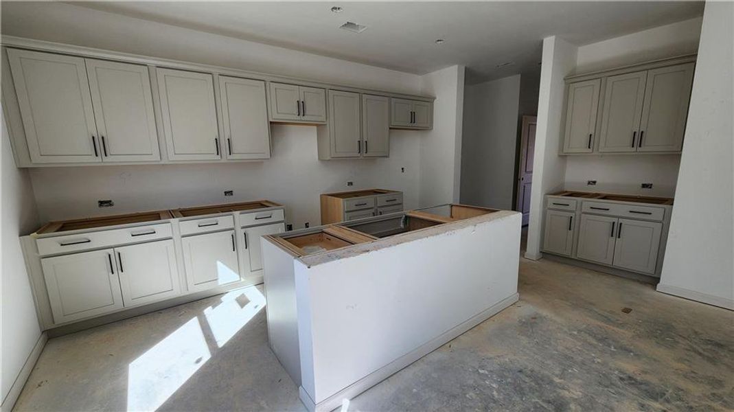 In-progress construction of a new home in The Estates at Casteel, Bethlehem, GA (Image 21). In-progress construction of a new home in The Estates at Casteel, Bethlehem, GA (Image 21).