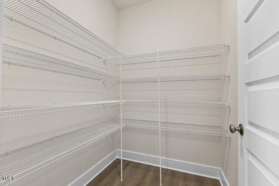 54562913237_6dc93f18ef_z