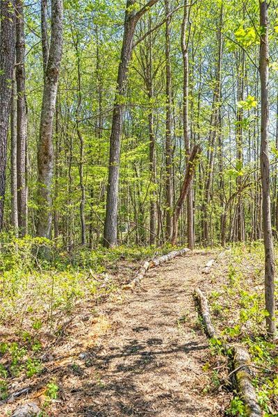 Natural landscape and outdoor views near Aster in Roswell (Image 14).