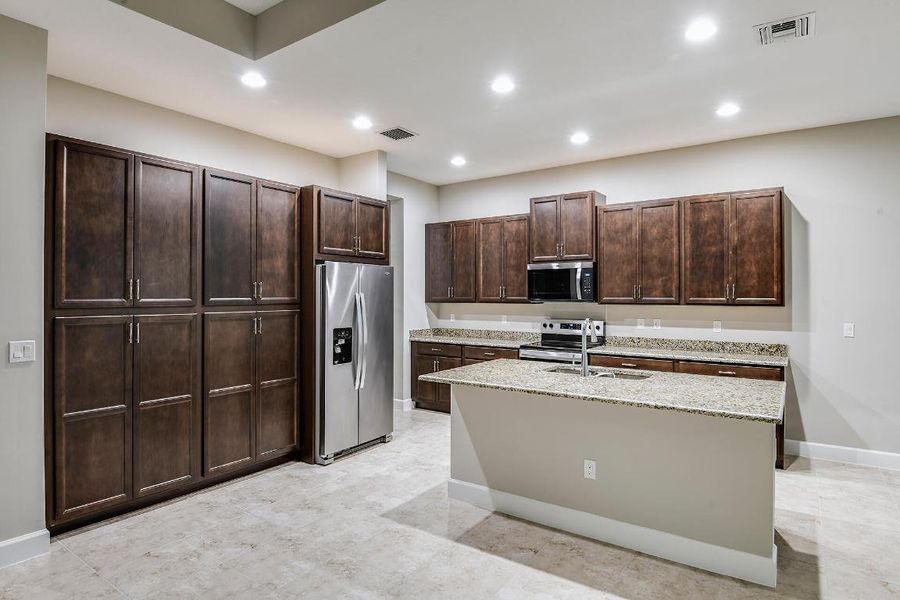 Lot-397-Marlberry-13861-Prickly-Cone-Cov Lot-397-Marlberry-13861-Prickly-Cone-Cov