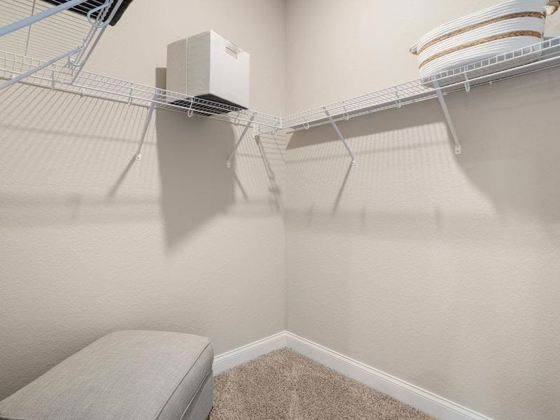 And, a walk-in wardrobe - Shelby by Highland Homes
