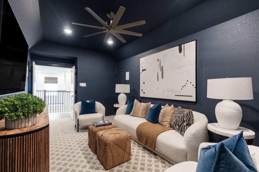 Representative Entertainment Room - some options shown Representative Entertainment Room - some options shown
