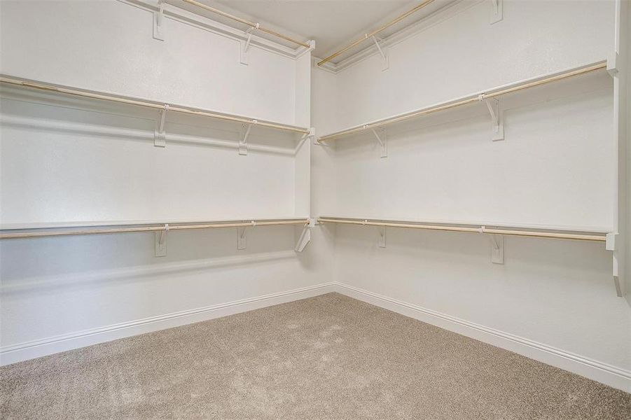 Spacious closet with carpet