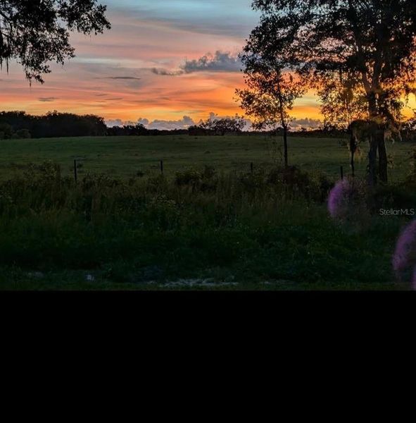 Natural landscape and outdoor views near  in Lecanto (Image 56).