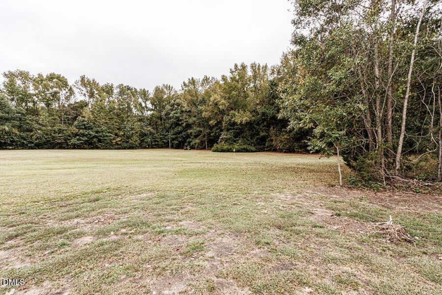 0009-IMG_0010 0009-IMG_0010