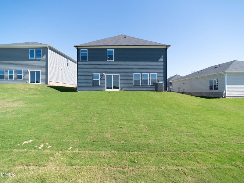 CM45_10.7_Back CM45_10.7_Back