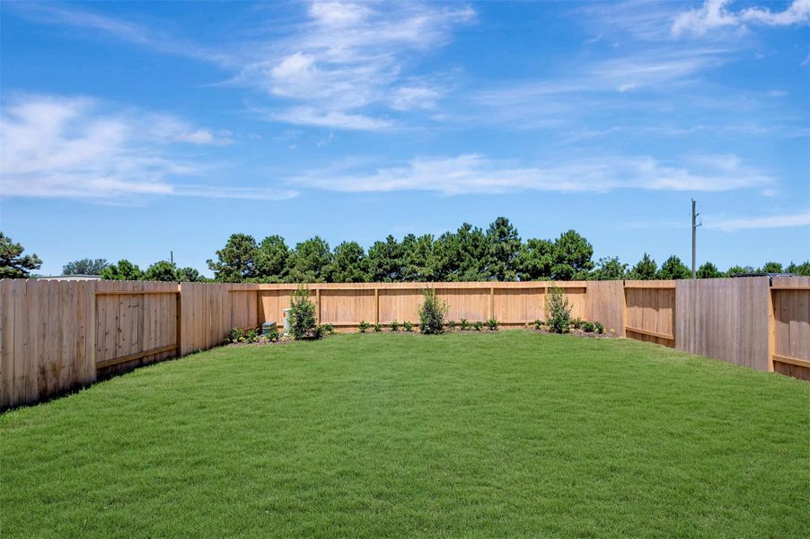 Lush landscaping in the backyard Lush landscaping in the backyard
