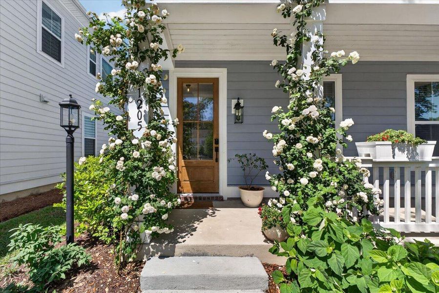 Exterior details and patio area of a home in Oak Bluff, Charleston (Image 3).