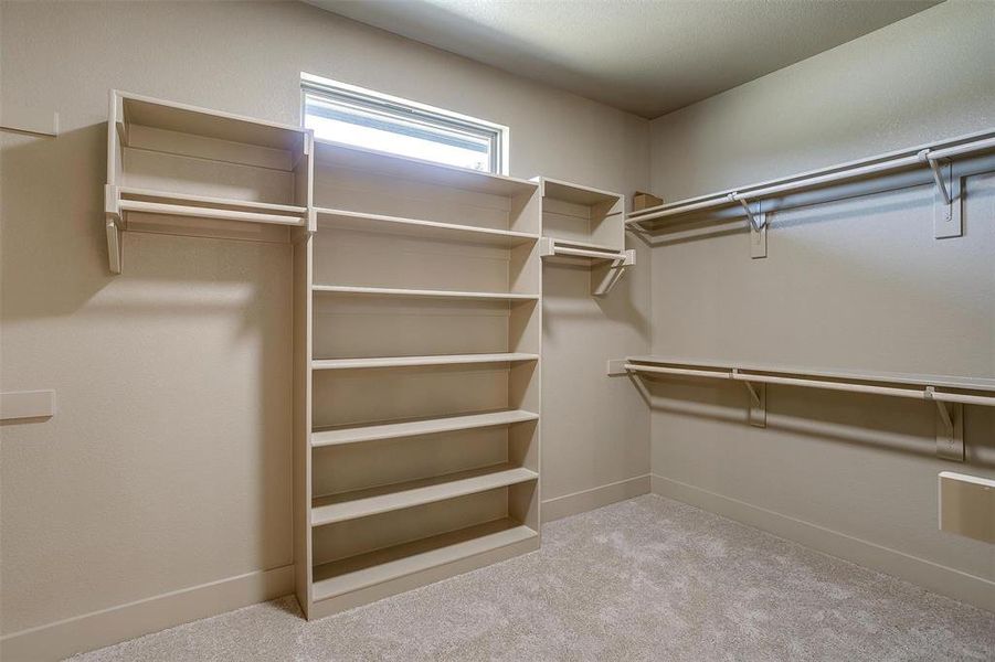 Spacious closet featuring carpet floors