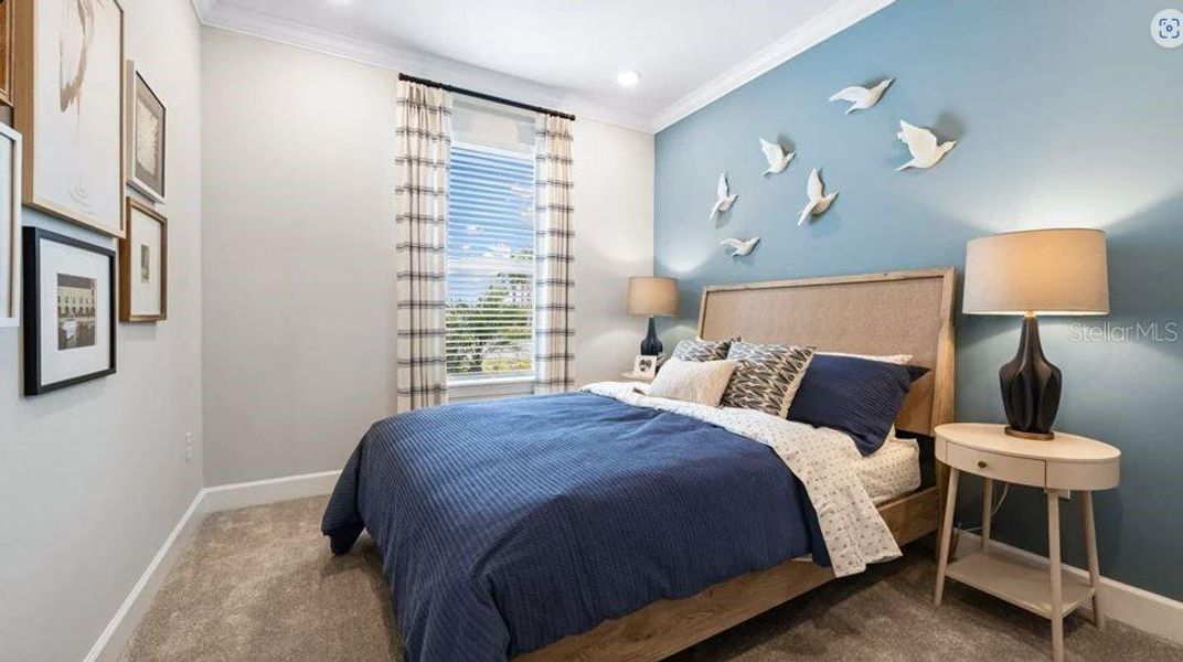 REPRESENTATIVE PHOTOS