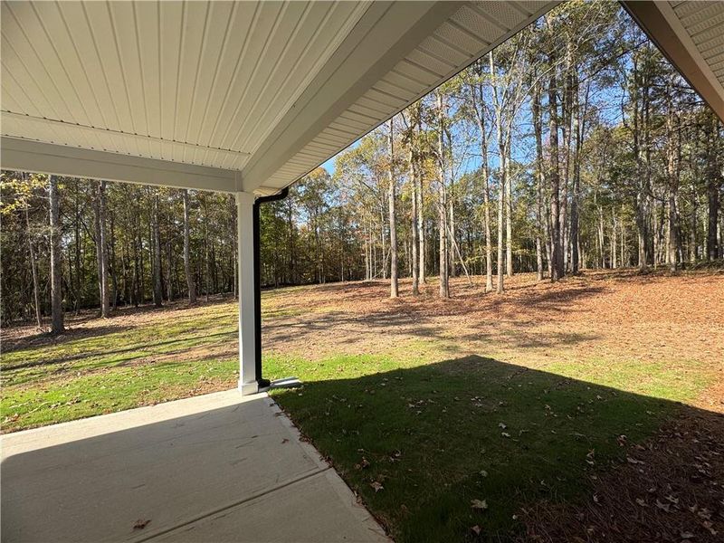 Exterior details and patio area of a home in The Fields of Walnut Creek, Pendergrass (Image 3).