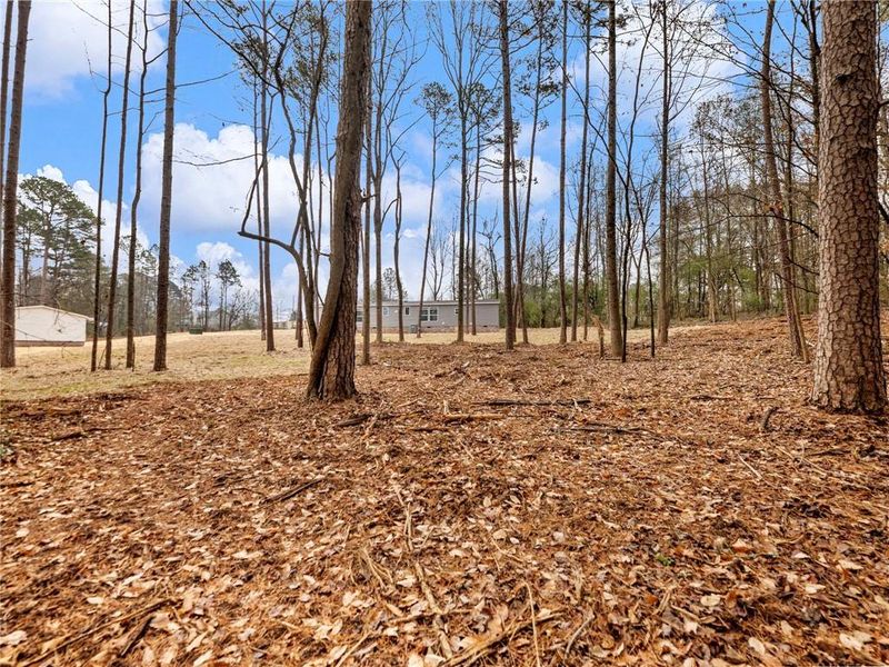 Natural landscape and outdoor views near in Gainesville (Image 41). Natural landscape and outdoor views near in Gainesville (Image 41).