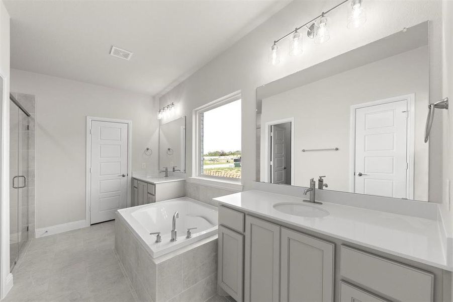 12_Grapevine II_Representative Photo