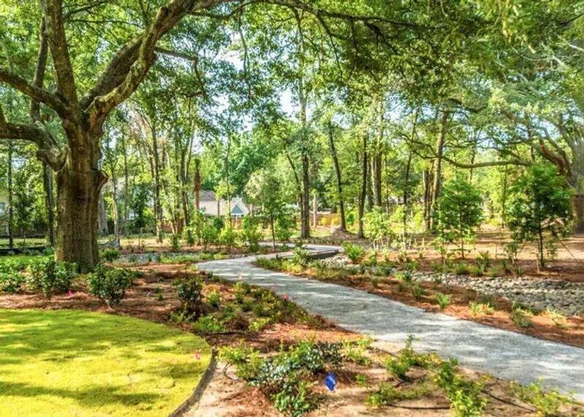 Natural landscape and outdoor views near  in Mount Pleasant (Image 4).