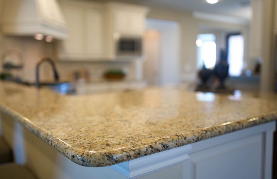 Representative interior finishes for a home built from the Northlake by Pulte Homes in Westside Preserve, Midlothian (Image 14).