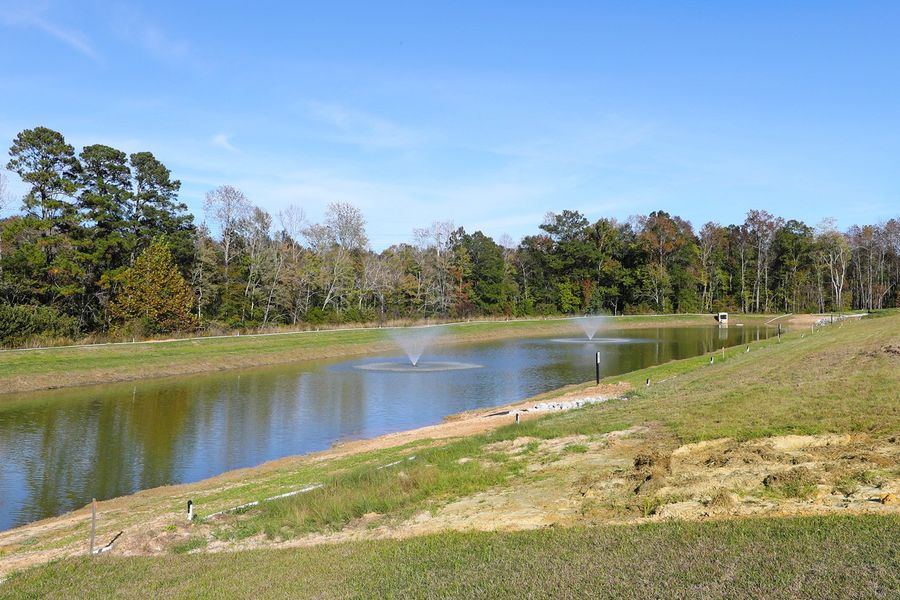 Natural landscape and outdoor views near Jordan Grove in Conway (Image 26). Natural landscape and outdoor views near Jordan Grove in Conway (Image 26).