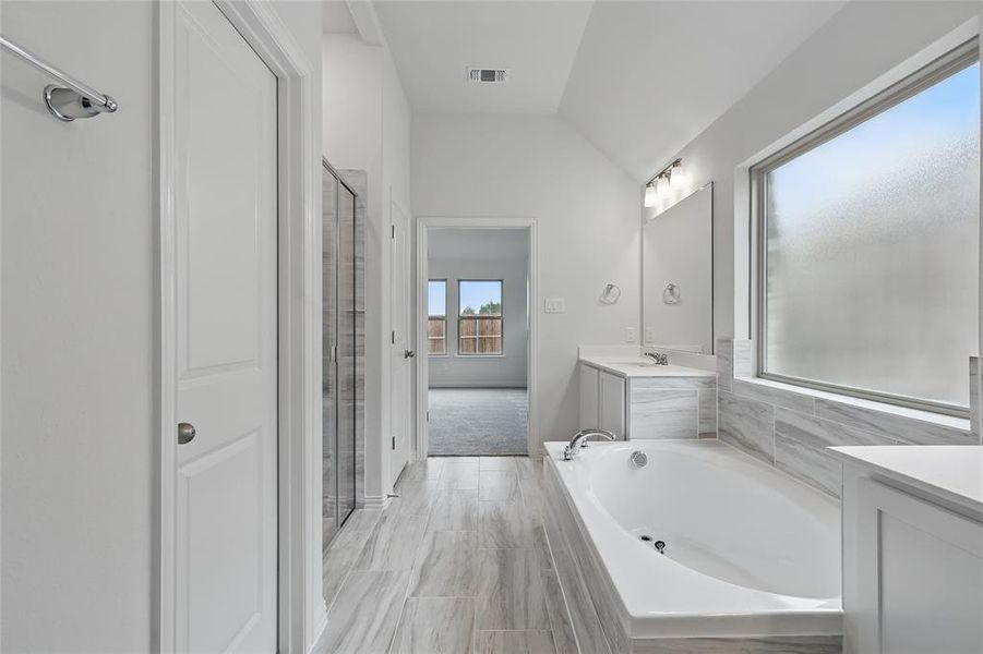 Bathroom with visible vents, a shower stall, and vanity Bathroom with visible vents, a shower stall, and vanity