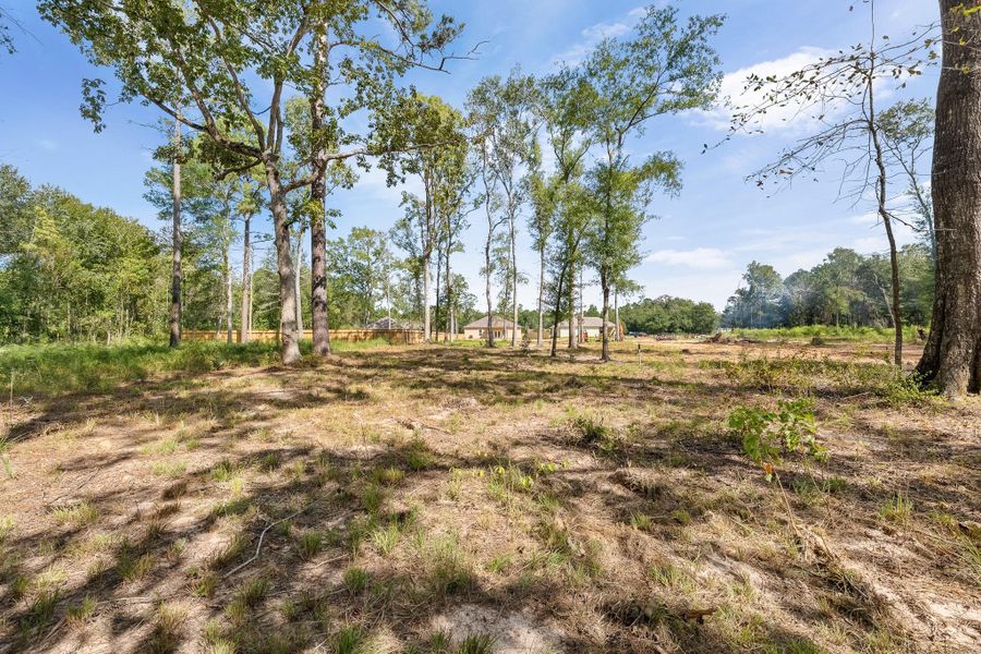 Natural landscape and outdoor views near in Cleveland (Image 26). Natural landscape and outdoor views near in Cleveland (Image 26).