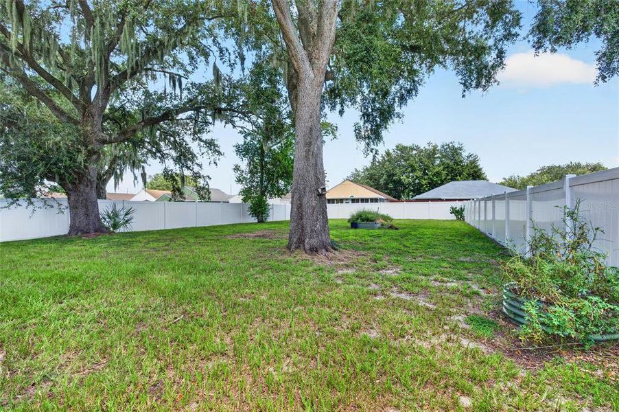 Natural landscape and outdoor views near  in Winter Haven (Image 20).