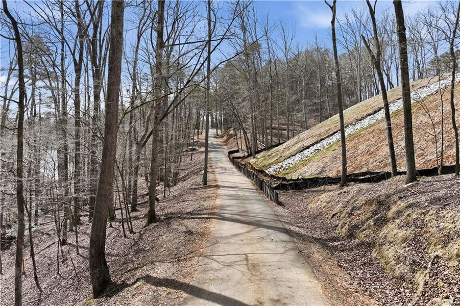 Natural landscape and outdoor views near  in Gainesville (Image 30).