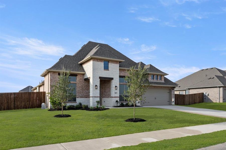 105 Grey Wolf- Front-2 105 Grey Wolf- Front-2