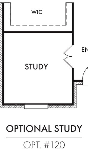 Study Study