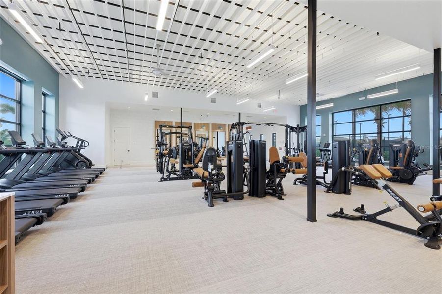 Community amenities in , Venice (Image 56). Community amenities in , Venice (Image 56).