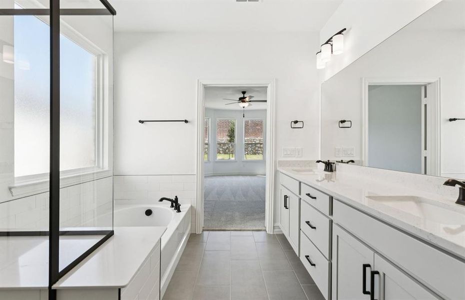 Owner's full bathtub & shower combo Owner's full bathtub & shower combo