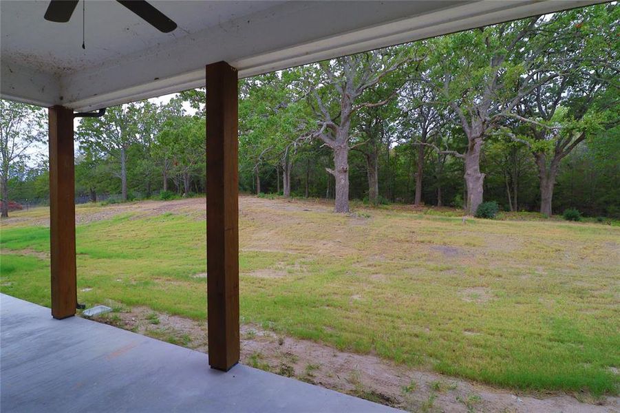 Backyard View from Patio