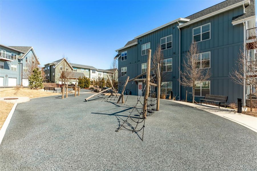 Parks in the neighborhood