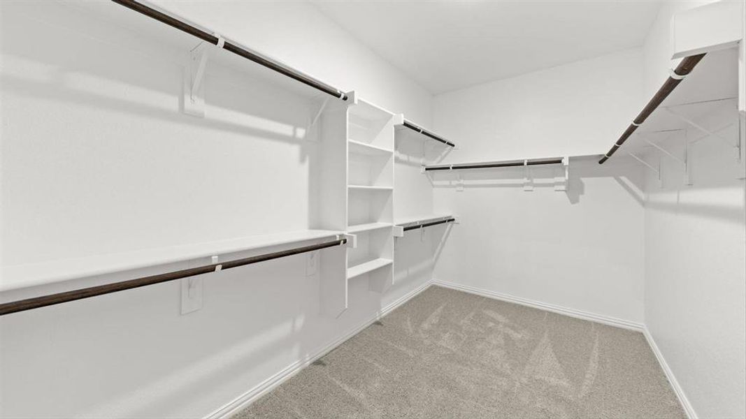 The Rowan Floorplan The Rowan Floorplan