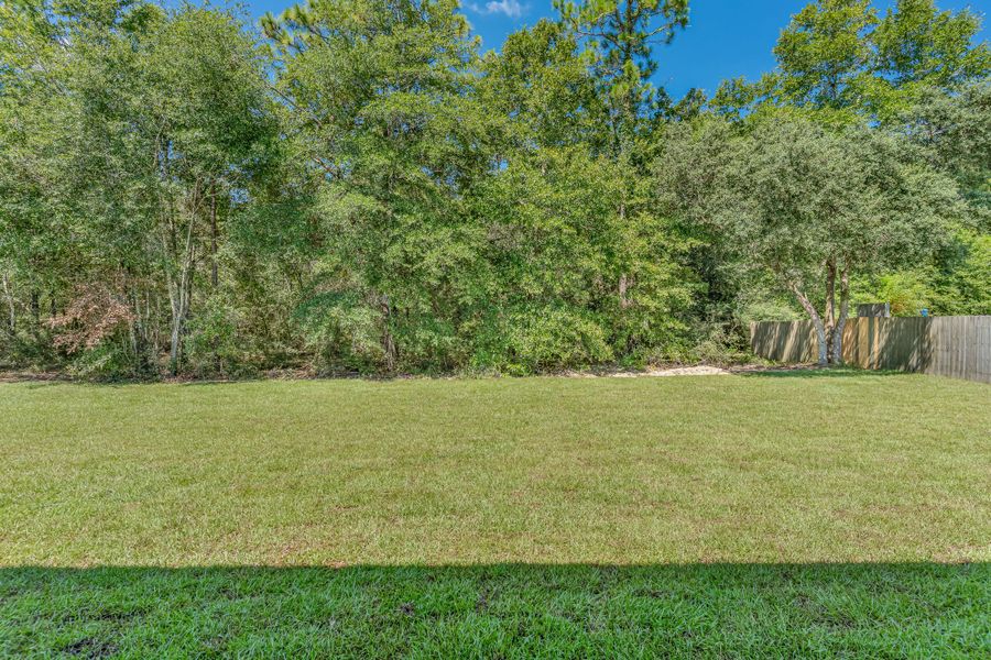 Natural landscape and outdoor views near Southern Day Chateau in Baker (Image 46).