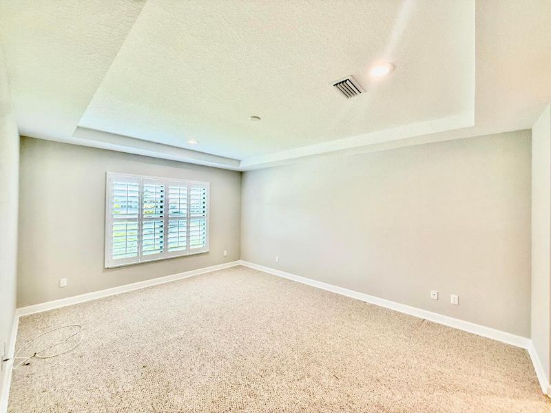 Tray Ceilings, Plantation Shutters