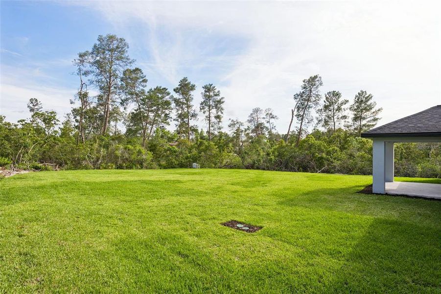 Exterior details and patio area of a home in , Weeki Wachee (Image 16).