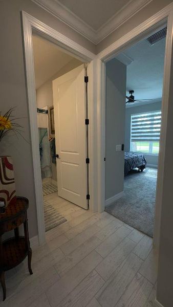 Hallway to the Bedrooms Hallway to the Bedrooms