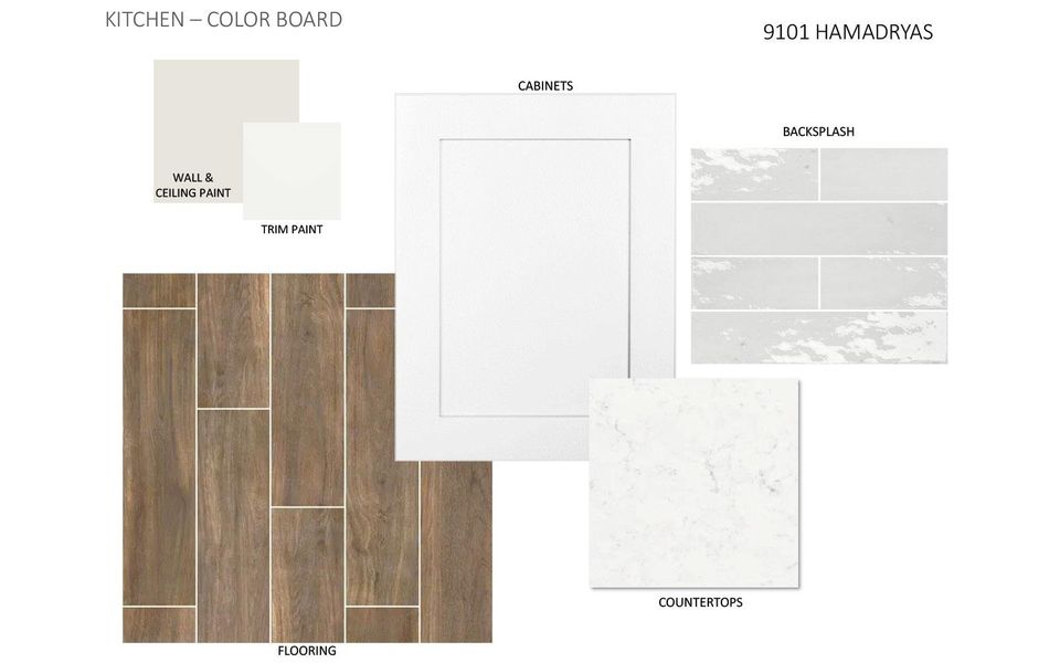 Image 13 of a home in Urban Courtyard Homes at Easton Park.