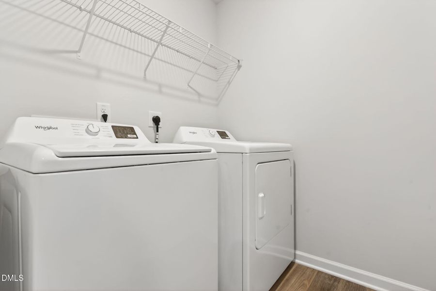 28-web-or-mls-DSC02984