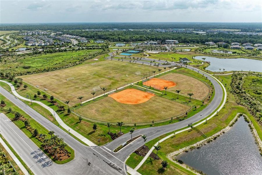 Site preparation for new homesites in , Sarasota (Image 50). Site preparation for new homesites in , Sarasota (Image 50).