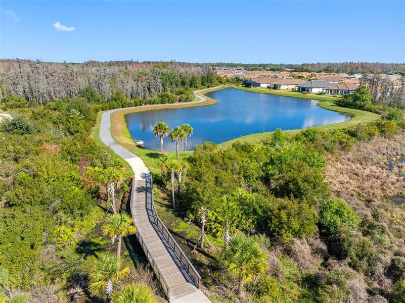 Natural landscape and outdoor views near Esplanade at Wiregrass Ranch in Wesley Chapel (Image 35).