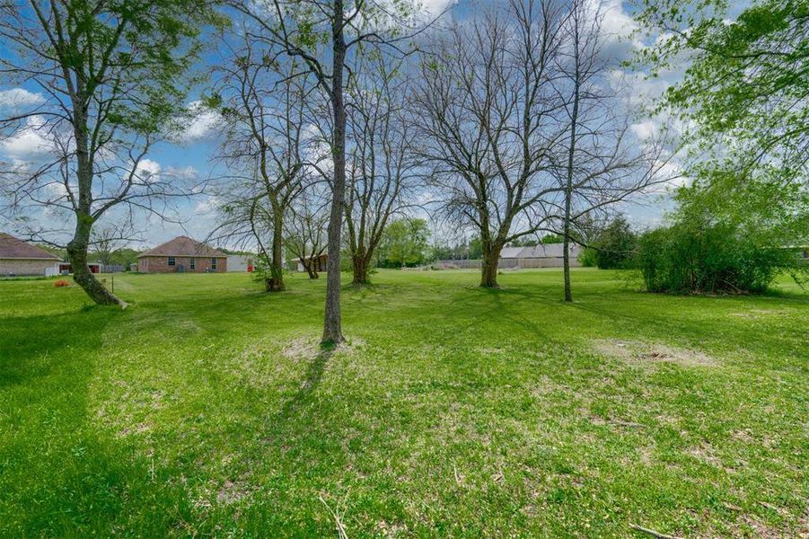 Natural landscape and outdoor views near  in Powderly (Image 28).
