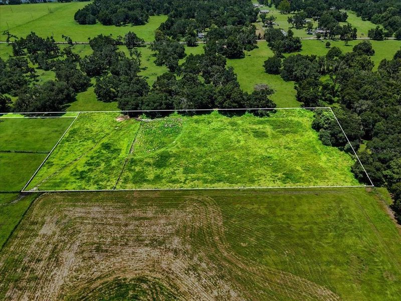 Natural landscape and outdoor views near  in Dade City (Image 19).