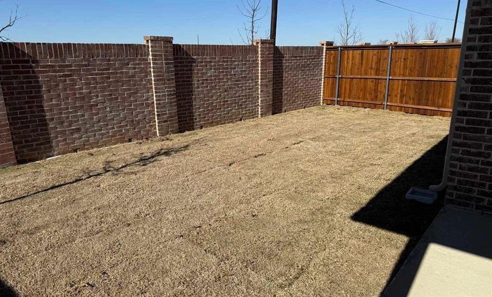 Backyard Construction Progress