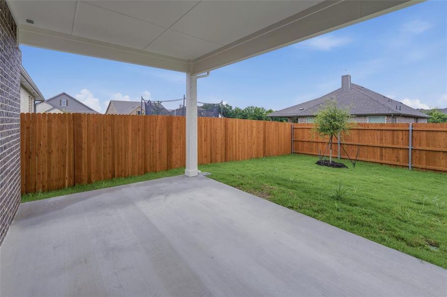 Spacious covered patio with concrete flooring, overlooking a green lawn with a newly planted tree