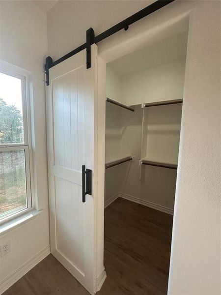 Spacious primary closet featuring a barn door and dark hardwood / wood-style flooring