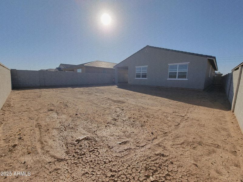 1000056137 1000056137